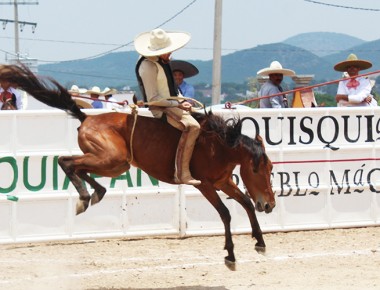 Rancho “El Pitayo A” protagoniza puntuaciones en “El Herradero”