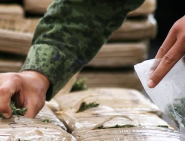 Berlín ofrece a México apoyo contra el narcotráfico