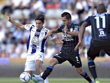 Gallo subcampeón contra el “Gran Pez”