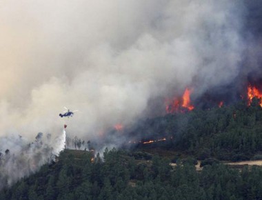 Incendio arrasa con 5 mil hectáreas del Sur de España; van en aumento