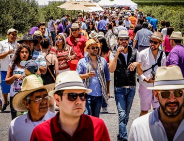 “Vendimia 2015” organizada por Freixenet rebasa expectativas