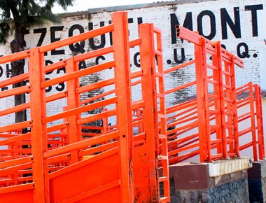 SEDEA proyecta para 2016 rastro municipal en Ezequiel Montes