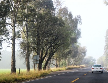 México tiene escenario alarmante por afectaciones de cambio climático en más de 300 Municipios