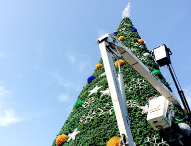 Autoridades Municipales encenderán el 01 de diciembre Árbol de Navidad 2015