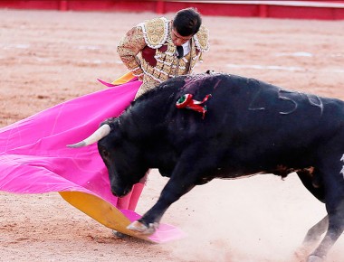 Este fin de semana en PJ Joselito Adame y Sebastián Castella en un mano a mano
