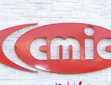 El 22 de febrero CMIC renovará comité directivo