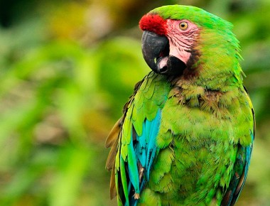 Pinal a favor de preservar la biósfera de la Sierra Gorda