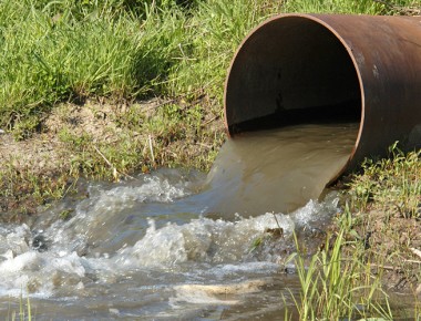 Contaminación en río Lerma es alarmante: ambientalistas queretanos
