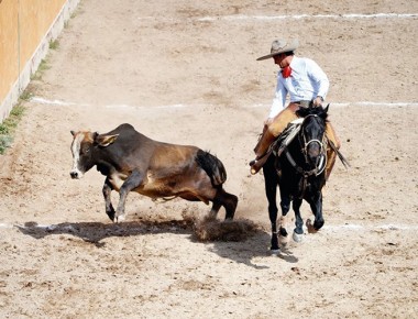 Tepic listo para 6to. Torneo Nacional Charro «El Dorado» 2016