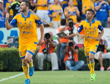 ¡Hoy! Tigres, un rival incómodo para Gallos