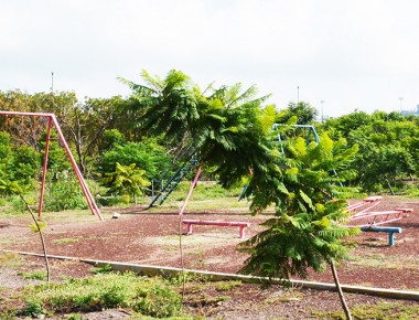Rescatará MAV espacios abandonados; informa que se construirán 56 parques