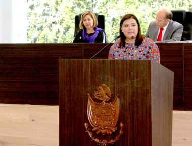 Diputada pide transparencia
