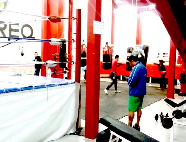 Habilita INDEREQ gimnasio de box gratuito