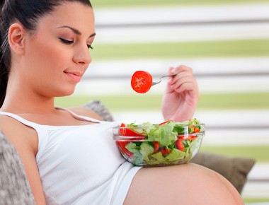 Programación Fetal