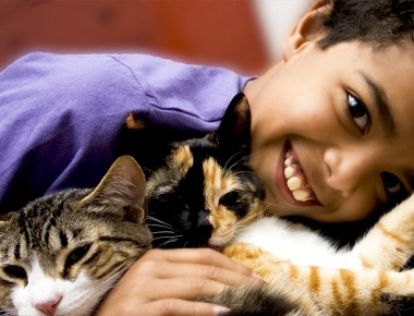 ¿Cuáles son las 10 mejores mascotas para tener en casa?
