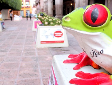 Presentan convocatoria aRANArte 2016