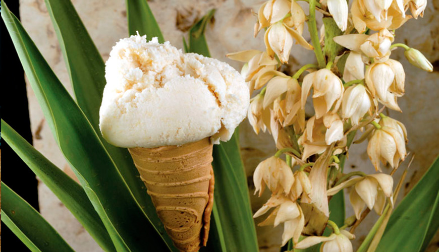 Disfruta deliciosas nieves extraídas de los néctares del desierto