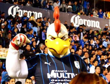 Gallos Blancos Invictos