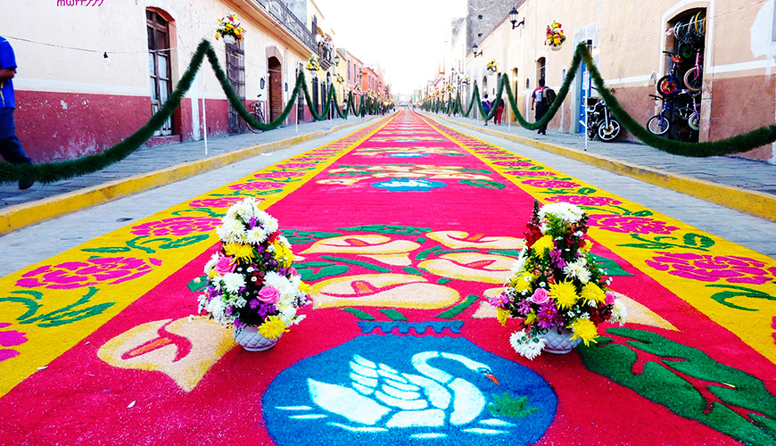Alfombras de flores con diversas y llamativas figuras