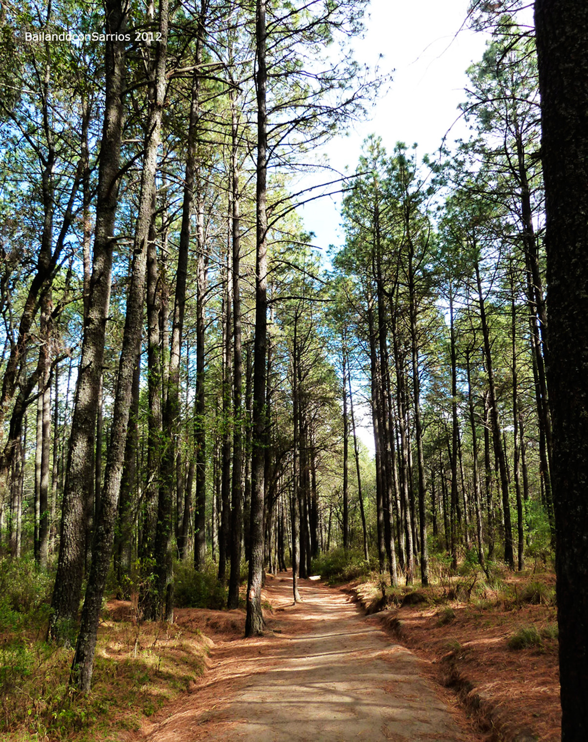 Parque Nacional La Malinche