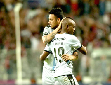 Gallos en crisis