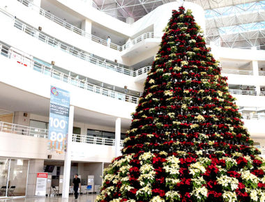 Alrededor de mil adornos navideños adornarán la capital queretana esta navidad