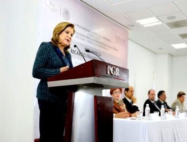 Arely Gómez deja la PGR