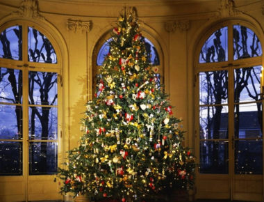 ¿Qué significa y por qué ponemos el «Árbol de Navidad»?