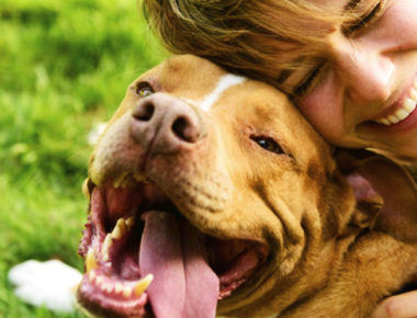 Consciente a tu perro con estos saludables snacks