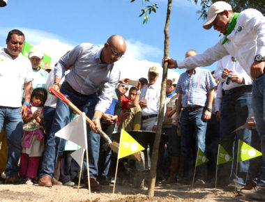 Capital crea segundo pulmón urbano a través de Redforestación