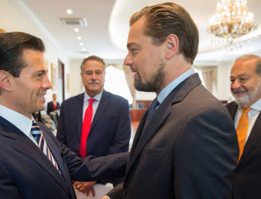 Fundación Leonardo DiCaprio apoyará a México en rescate de vaquita marina