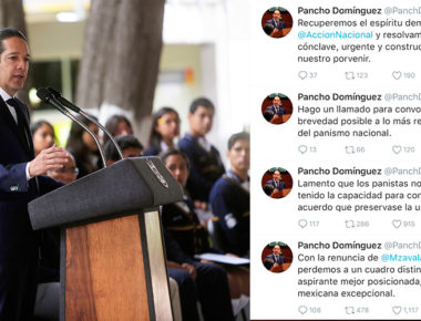 Soy institucional y votaré en 2018 por el candidato de Acción Nacional: FDS