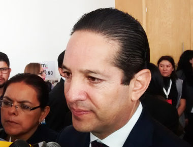 Acción Nacional no considera ir a elecciones con alianzas en 2018: FDS