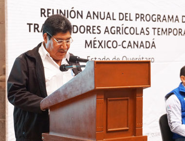 Programa de Trabajadores Agrícolas benefició a 369 queretanos en 2017:ST