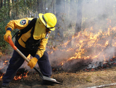 Inicia 2018 con menos incendios forestales en el país