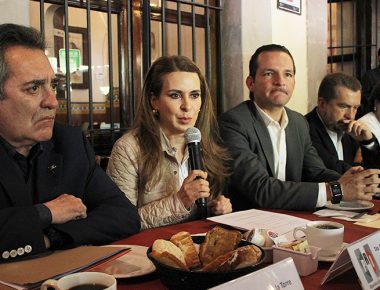 En Antonio Meade el país tiene a un hombre limpio: Viggiano