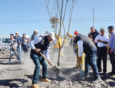 Municipio de Querétaro ha plantado 25 mil 570 árboles y supera meta: MAV