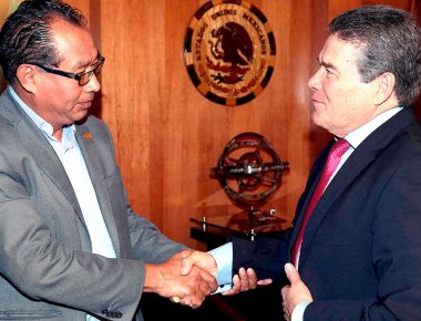 Creará SNTE Instituto de Profesionalización del Magisterio de Querétaro