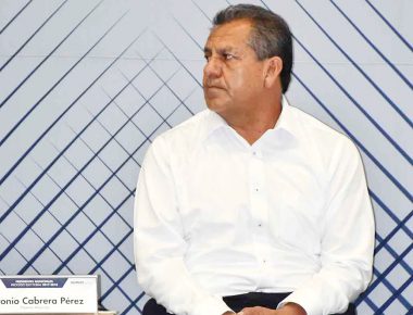 PANAL copia propuesta de seguridad del PRI en segundo debate