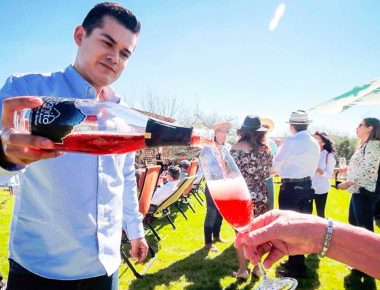Comenzaron las fiestas de la vendimia de la Ruta Arte, Queso y Vino