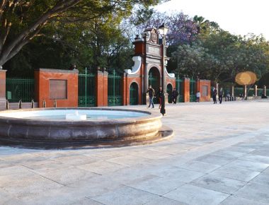 Este domingo reabre la Alameda Hidalgo
