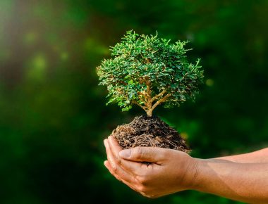 México será sede de EarthX, la experiencia ambiental más grande del mundo