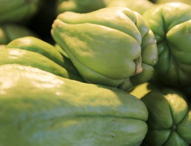 Chayote podría ayudar contra cáncer