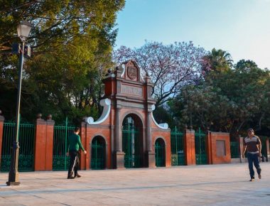 Comerciantes de la Alameda pudieran ser reubicados en delegación Felix Osores