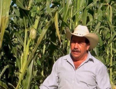 Sedatu resuelve 7 mil conflictos agrarios en el país