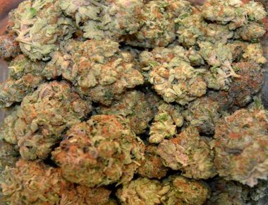 Distrito escolar en Florida aprueba uso medicinal de mariguana en las aulas