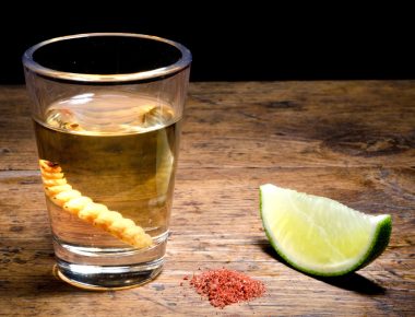 El Mezcal, en el trending topic de bebidas para el mes de septiembre