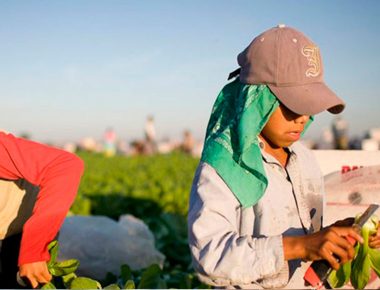 INEGI presenta resultados del Trabajo Infantil en México