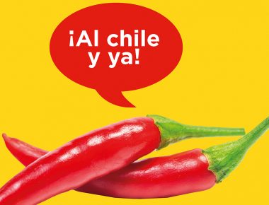 Léxico Mexicano, con estas palabras damos a entender todo…