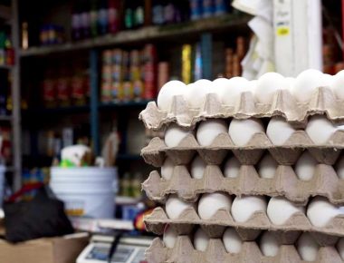 Por TLC México-EU, tortilla y huevo no tendrán aumentos considerables: maiceros